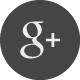 Google+